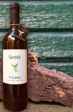 U CANTIN - vino bianco Sentè