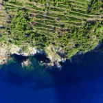Litan Cinque Terre - Costa De Sera DOC